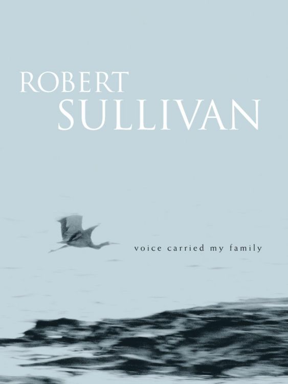 Produktbild: Voice Carried My Family
