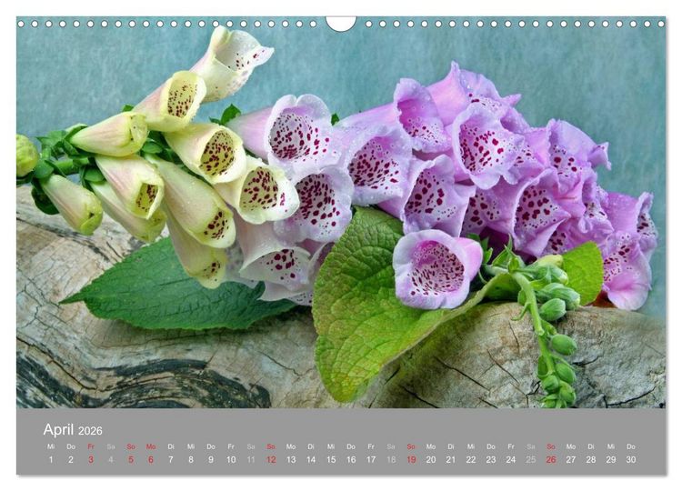 Produktbild: Floral (Wandkalender 2026 DIN A3 quer), CALVENDO Monatskalender
