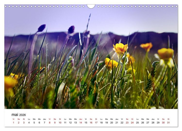 Produktbild: Dunes et mer - Une exp&eacute;rience nature (Calendrier mural 2026 DIN A3 vertical), CALVENDO calendrier mensuel