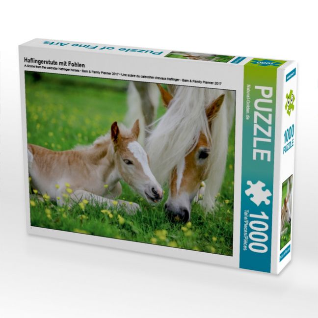 Produktbild: CALVENDO Puzzle Haflingerstute mit Fohlen | 1000 Teile Lege-Gr&ouml;&szlig;e 64x48cm Foto-Puzzle f&uuml;r gl&uuml;ckliche Stunden