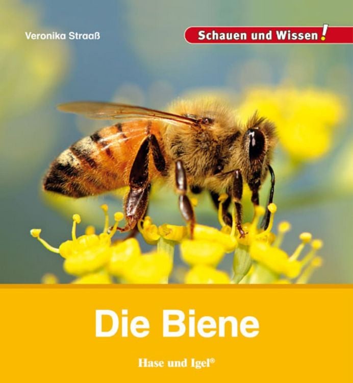 Produktbild: Die Biene