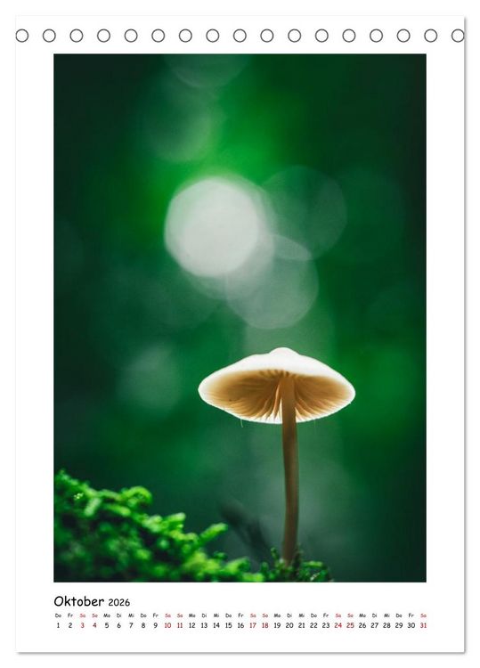 Produktbild: Bubble Bokeh (Tischkalender 2026 DIN A5 hoch), CALVENDO Monatskalender