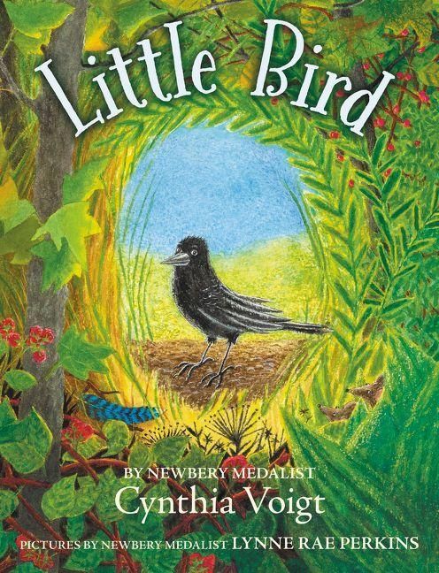 Produktbild: Little Bird