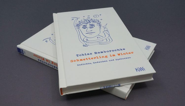 Produktbild: Schmetterling im Winter