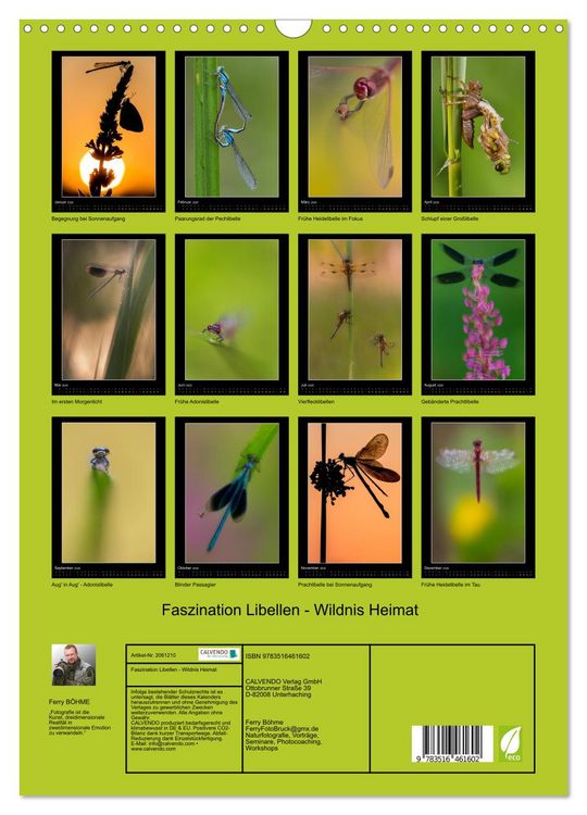 Produktbild: Faszination Libellen - Wildnis Heimat (Wandkalender 2026 DIN A3 hoch), CALVENDO Monatskalender