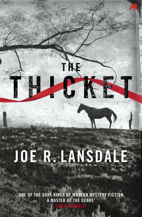 Produktbild: The Thicket