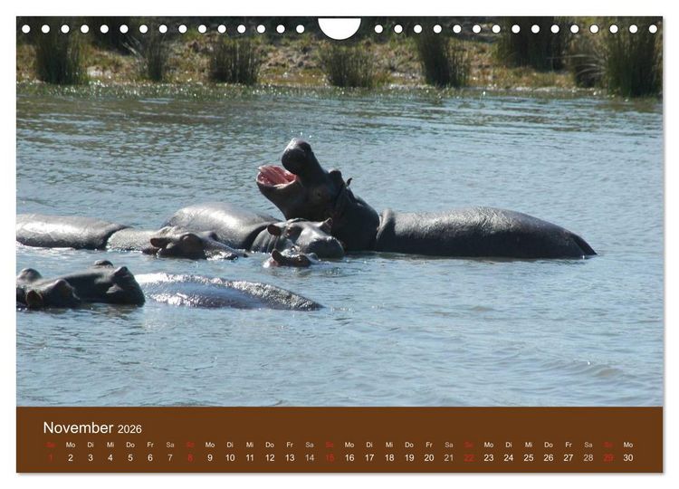 Produktbild: Namibia - faszinierende Menschen und Tiere (Wandkalender 2026 DIN A4 quer), CALVENDO Monatskalender