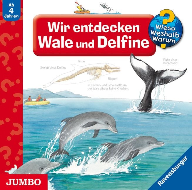 Produktbild: Wir entdecken Wale und Delfine