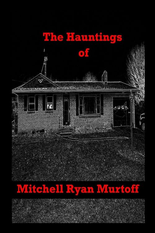 Produktbild: The Hauntings of Mitchell Ryan Murtoff