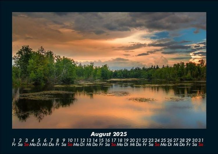 Produktbild: B&auml;ume 2025 Fotokalender DIN A5