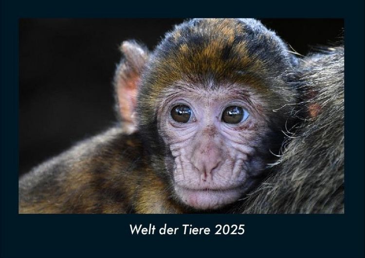 Produktbild: Welt der Tiere 2025 Fotokalender DIN A4