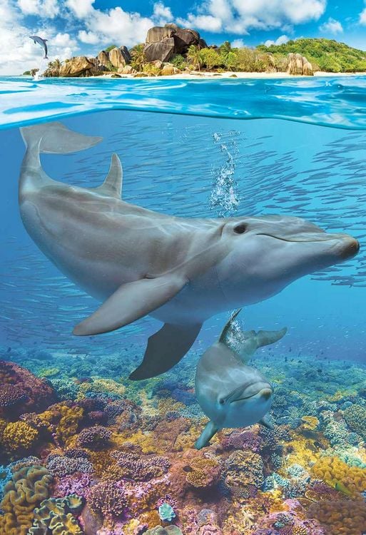 Produktbild: Kinder Puzzle 250 Teile - Dolphins