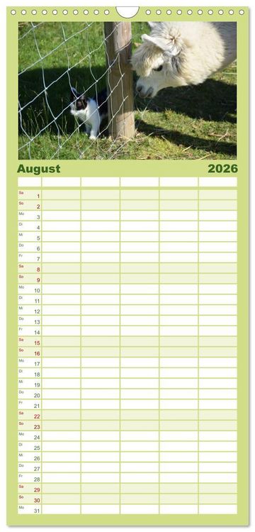Produktbild: Familienplaner 2026 - Alpakas zum Verlieben mit 5 Spalten (Wandkalender, 21 x 45 cm) CALVENDO