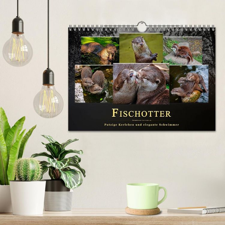 Produktbild: Fischotter - putzige Kerlchen und elegante Schwimmer (Wandkalender 2026 DIN A4 quer), CALVENDO Monatskalender