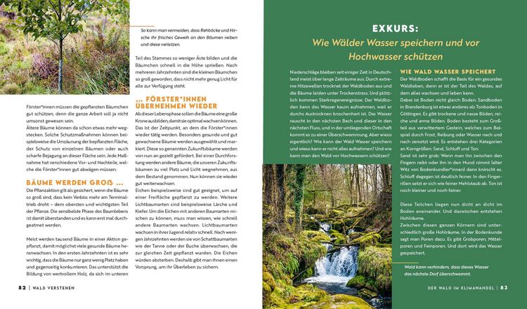 Produktbild: Forst erkl&auml;rt: Warum wir den Wald brauchen &ndash; und er uns