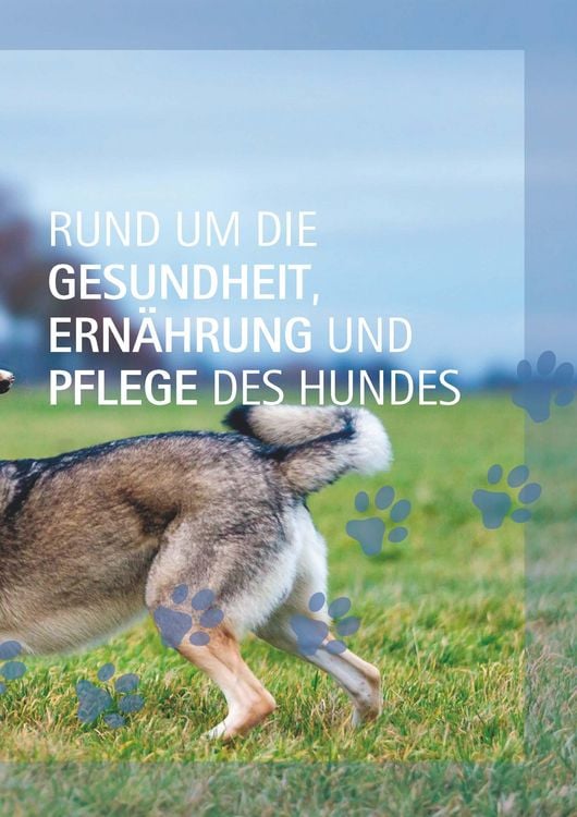 Produktbild: Ein Hund und 1000 Fragen