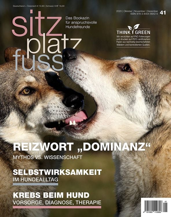 Produktbild: SitzPlatzFuss, Ausgabe 41