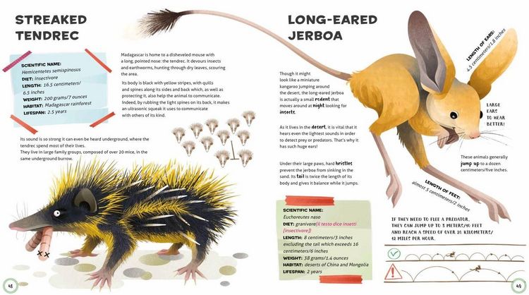 Produktbild: Weird and Wonderful Animals