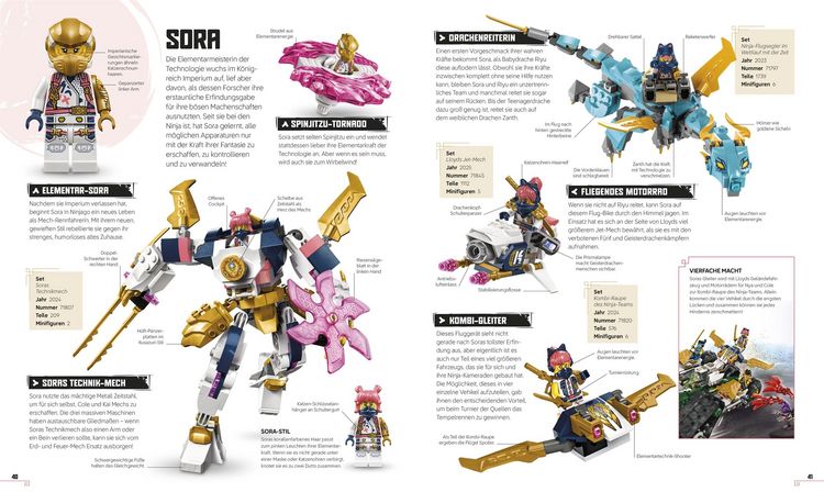 Produktbild: LEGO&reg; NINJAGO&reg; Das gro&szlig;e Ninja-Lexikon
