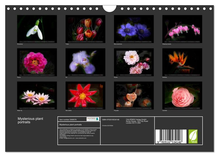 Produktbild: Mysterious plant portraits (Wall Calendar 2026 DIN A4 landscape), CALVENDO 12 Month Wall Calendar