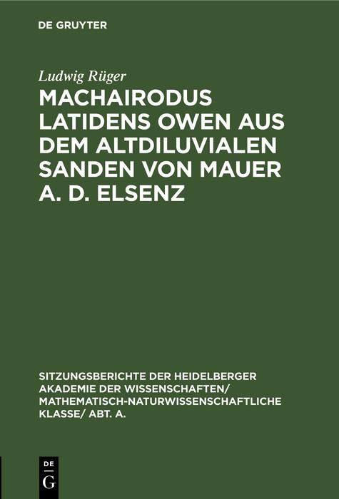 Produktbild: Machairodus latidens Owen aus dem altdiluvialen Sanden von Mauer a. d. Elsenz