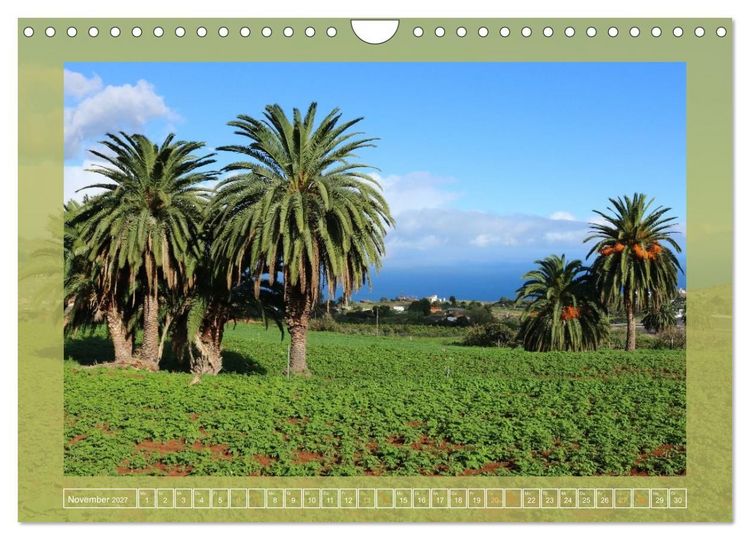 Produktbild: Wundersame Kanarenflora (Wandkalender 2027 DIN A4 quer), CALVENDO Monatskalender