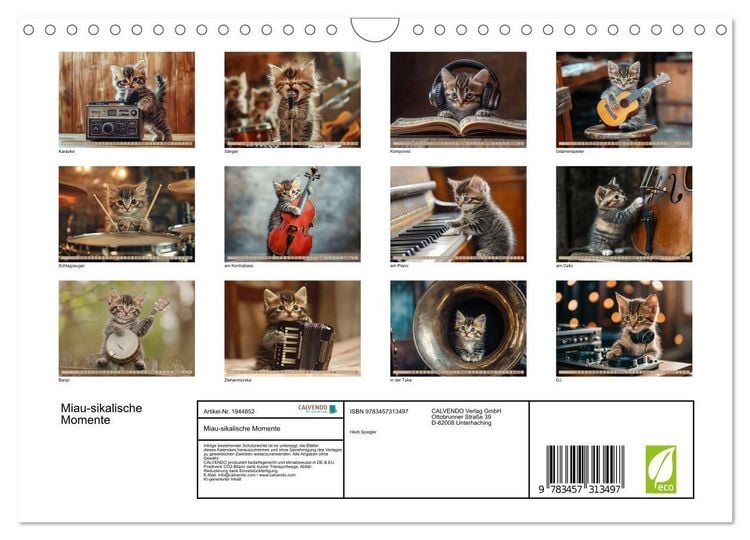 Produktbild: Miau-sikalische Momente (Wandkalender 2026 DIN A4 quer), CALVENDO Monatskalender