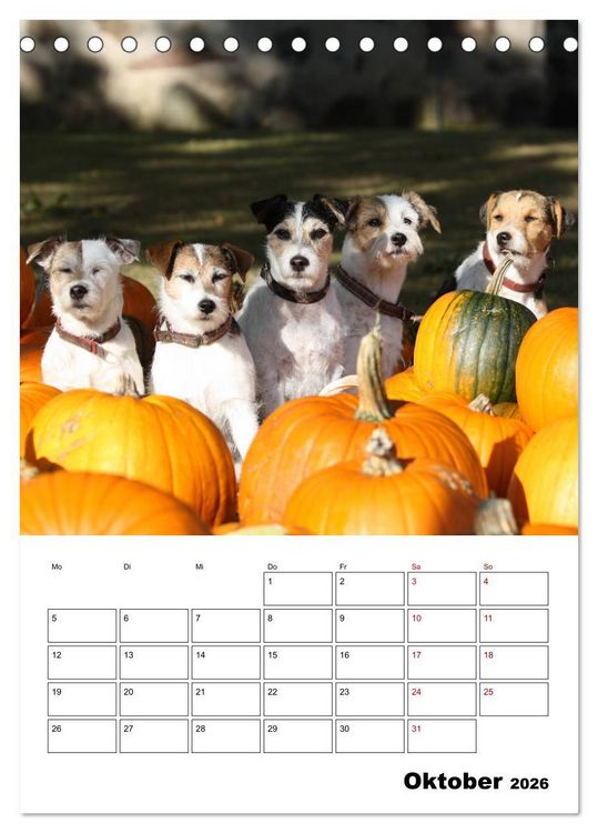 Produktbild: Tender Fellows - Parson Russell Terrier (Tischkalender 2026 DIN A5 hoch), CALVENDO Monatskalender