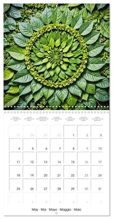 Produktbild: Mandalas of Mother Earth (Wall Calendar 2026 12 &times; 12 Inch) CALVENDO 12 Month Wall Calendar