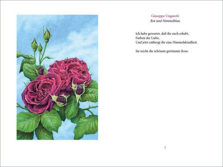 »Ich wollt' dein Bett mit einer Rose schmücken«