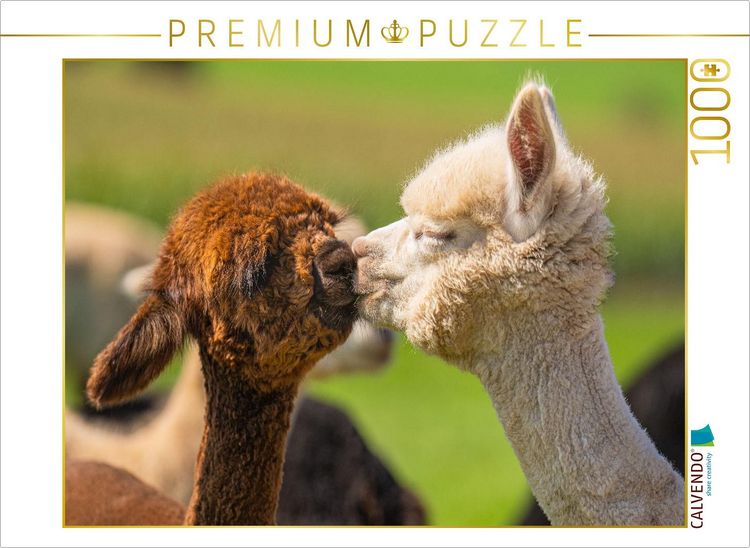 Produktbild: CALVENDO Puzzle Alpakafohlen | 1000 Teile Lege-Gr&ouml;&szlig;e 64x48cm Foto-Puzzle f&uuml;r gl&uuml;ckliche Stunden