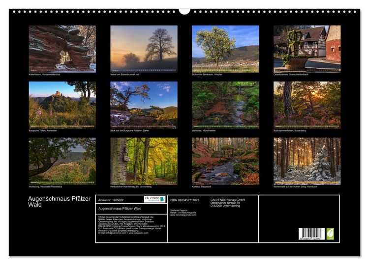 Produktbild: Augenschmaus Pf&auml;lzer Wald (Wandkalender 2026 DIN A2 quer), CALVENDO Monatskalender