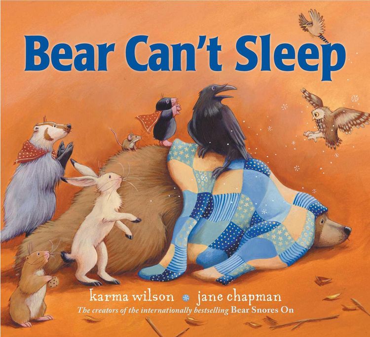 Produktbild: Bear Can't Sleep