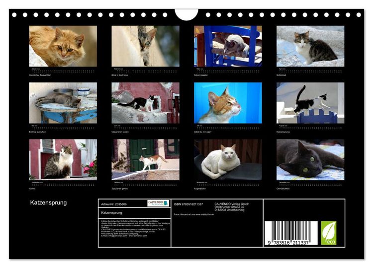 Produktbild: Katzensprung (Wandkalender 2026 DIN A4 quer), CALVENDO Monatskalender