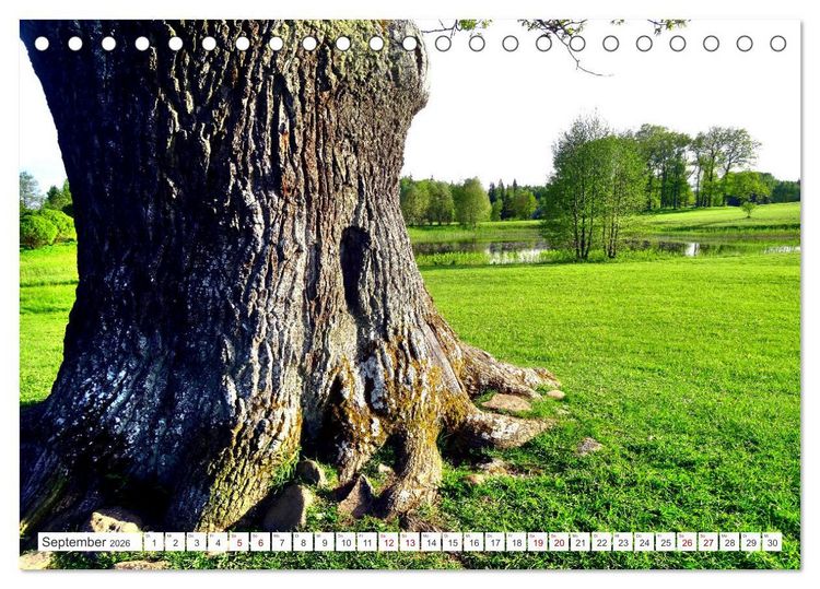 Produktbild: Gr&uuml;nes Estland - Naturparadies am Baltischen Meer (Tischkalender 2026 DIN A5 quer), CALVENDO Monatskalender
