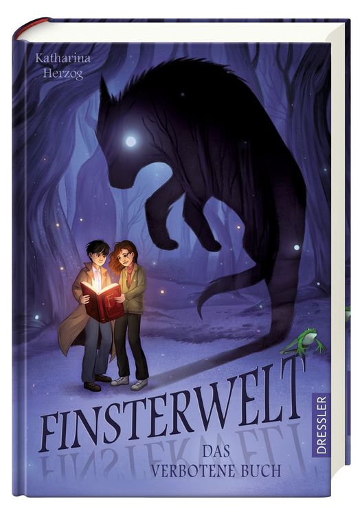 Produktbild: Finsterwelt 1. Das verbotene Buch
