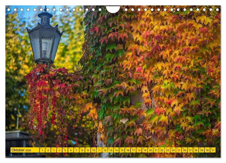 Produktbild: Immenstaad am sch&ouml;nen Bodensee (Wandkalender 2026 DIN A4 quer), CALVENDO Monatskalender