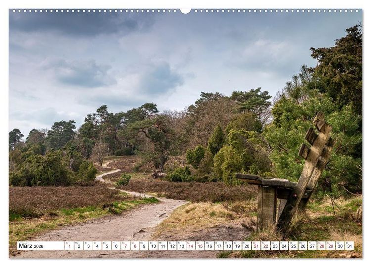 Produktbild: L&uuml;neburger Heide: Die Nordheide (hochwertiger Premium Wandkalender 2026 DIN A2 quer), Kunstdruck in Hochglanz