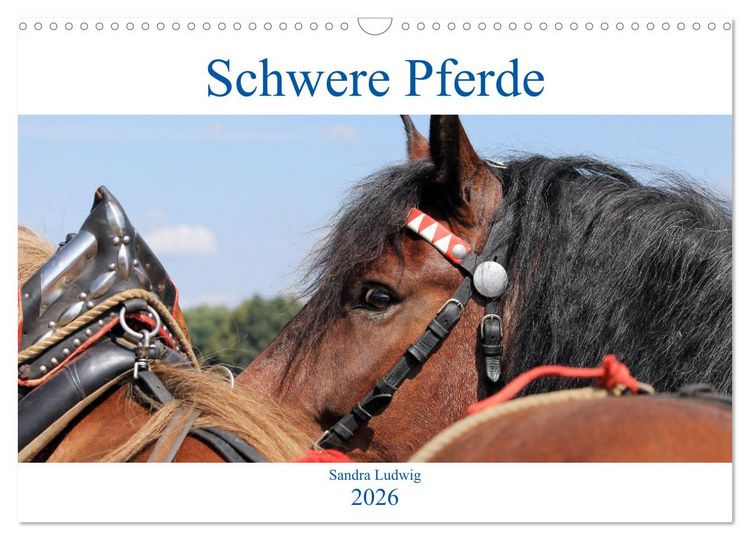 Produktbild: Schwere Pferde 2026 (Wandkalender 2026 DIN A3 quer), CALVENDO Monatskalender
