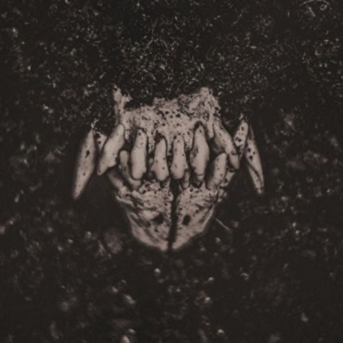 Produktbild: Mass I