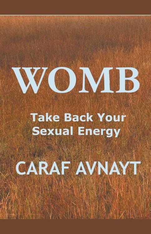 Produktbild: WOMB - Take Back Your Sexual Energy