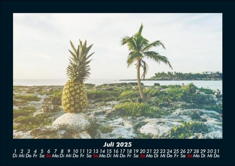 Produktbild: Palmen 2025 Fotokalender DIN A5