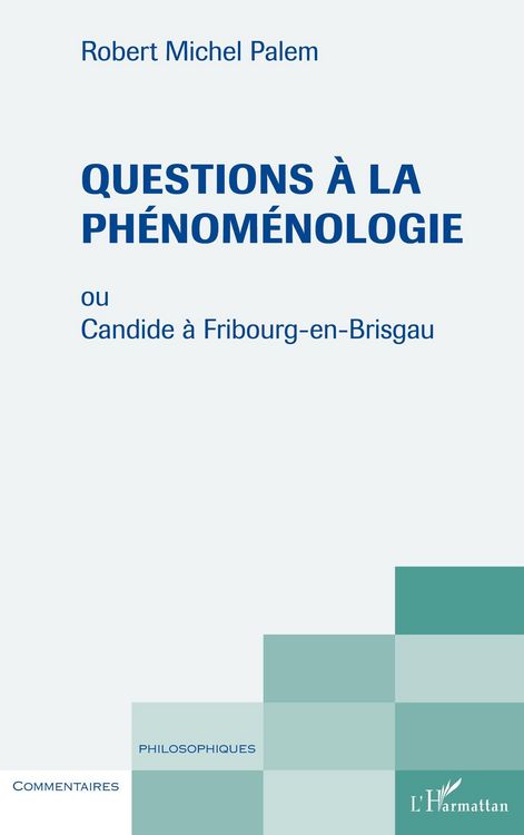 Produktbild: Questions &agrave; la ph&eacute;nom&eacute;nologie