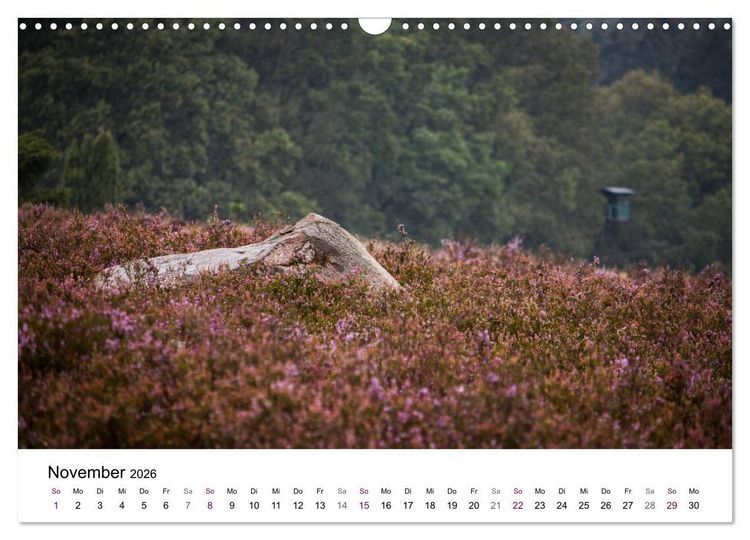 Produktbild: L&uuml;neburger Heide (Wandkalender 2026 DIN A3 quer), CALVENDO Monatskalender