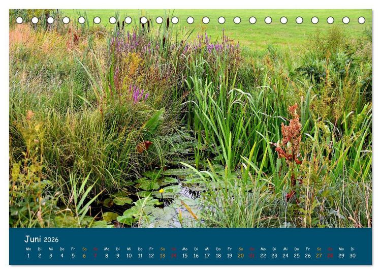 Produktbild: Naturschutzgebiet W&uuml;mme (Tischkalender 2026 DIN A5 quer), CALVENDO Monatskalender