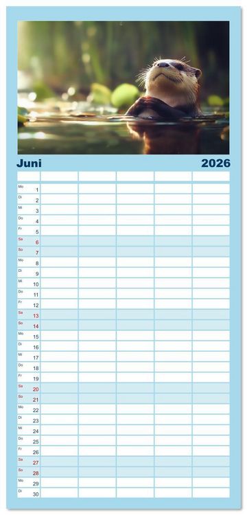 Produktbild: Familienplaner 2026 - W&auml;chter des Flusses - Ein Jahr mit Fischottern mit 5 Spalten (Wandkalender, 21 x 45 cm) CALVENDO