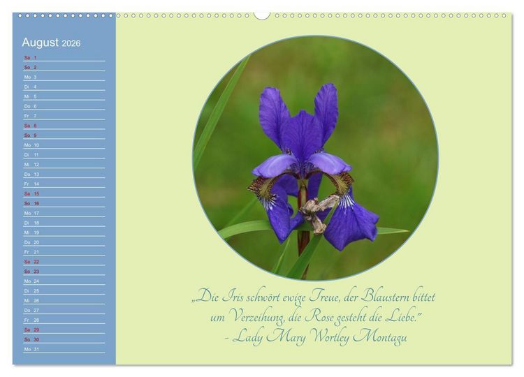 Produktbild: Flora in royalem Blau (hochwertiger Premium Wandkalender 2026 DIN A2 quer), Kunstdruck in Hochglanz