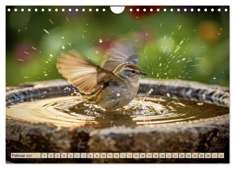 Produktbild: Farbenfrohe Singv&ouml;gel beim Baden (Wandkalender 2027 DIN A4 quer), CALVENDO Monatskalender