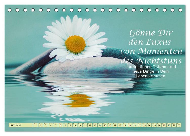 Produktbild: Spruchkalender - schau rein (Tischkalender 2026 DIN A5 quer), CALVENDO Monatskalender