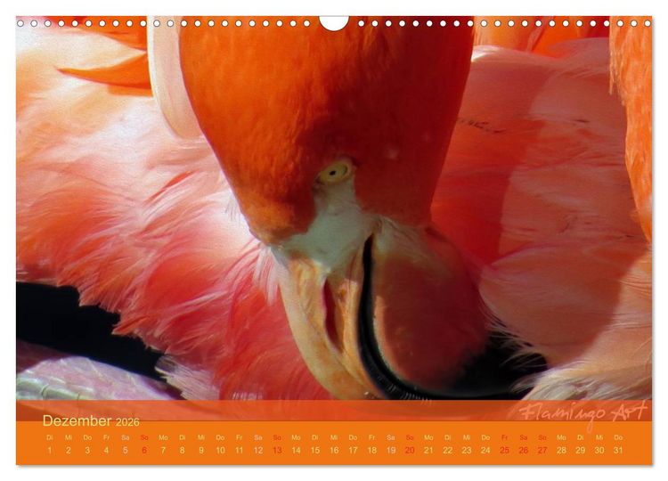 Produktbild: Flamingo Art 2026 (Wandkalender 2026 DIN A3 quer), CALVENDO Monatskalender